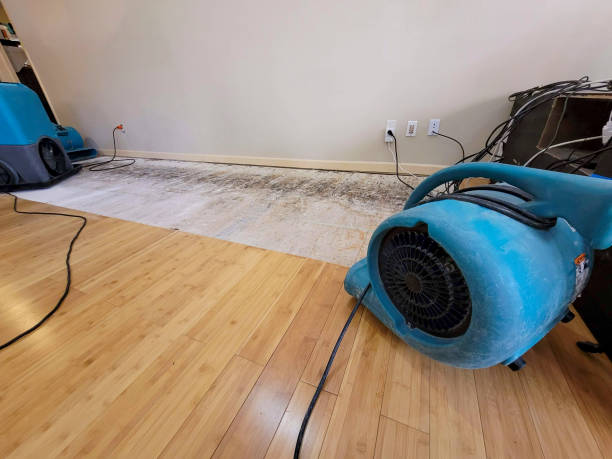 Professional Sewage Cleanup technician working in Saint Albans, MO